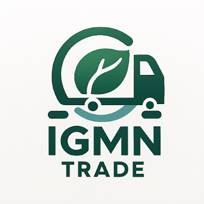 Igmn Trade, Magasin De Pièces Automobiles à Villiers-le-Bel