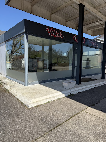 Vittel Auto Pièces, Magasin De Pièces Automobiles à Vittel