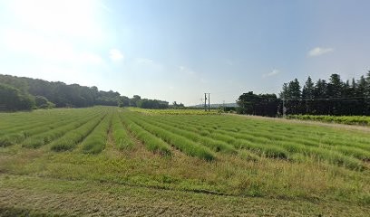 Atelier 540, Magasin de Pièces Détachées Auto à Bollène